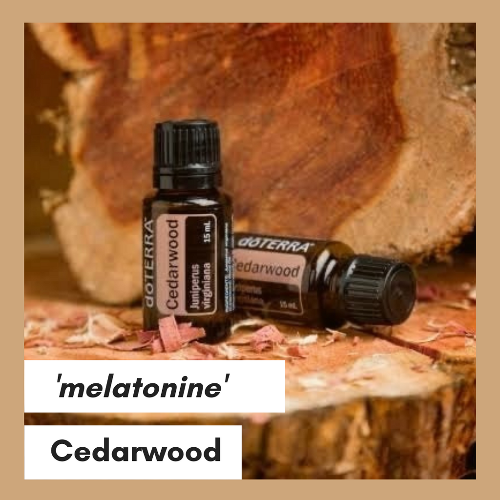Cedarwood  en melatonine